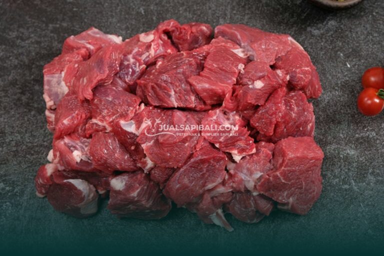 Mengenali Ciri Daging Sapi Bali Asli yang Bikin Ketagihan!