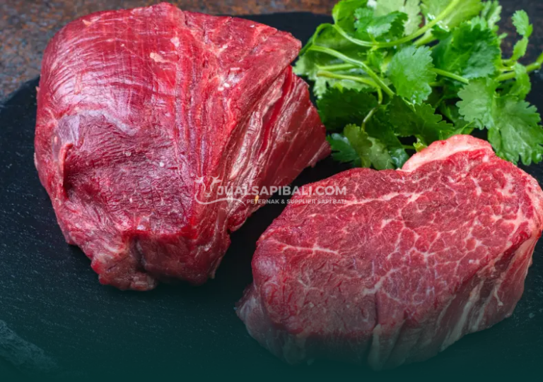 Mengenali Daging Sapi Sehat Kunci Hidangan Lezat dan Aman untuk Keluarga